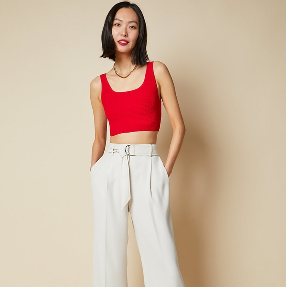 Aritzia Babaton Sculpt Knit Top - Picture 4 of 16